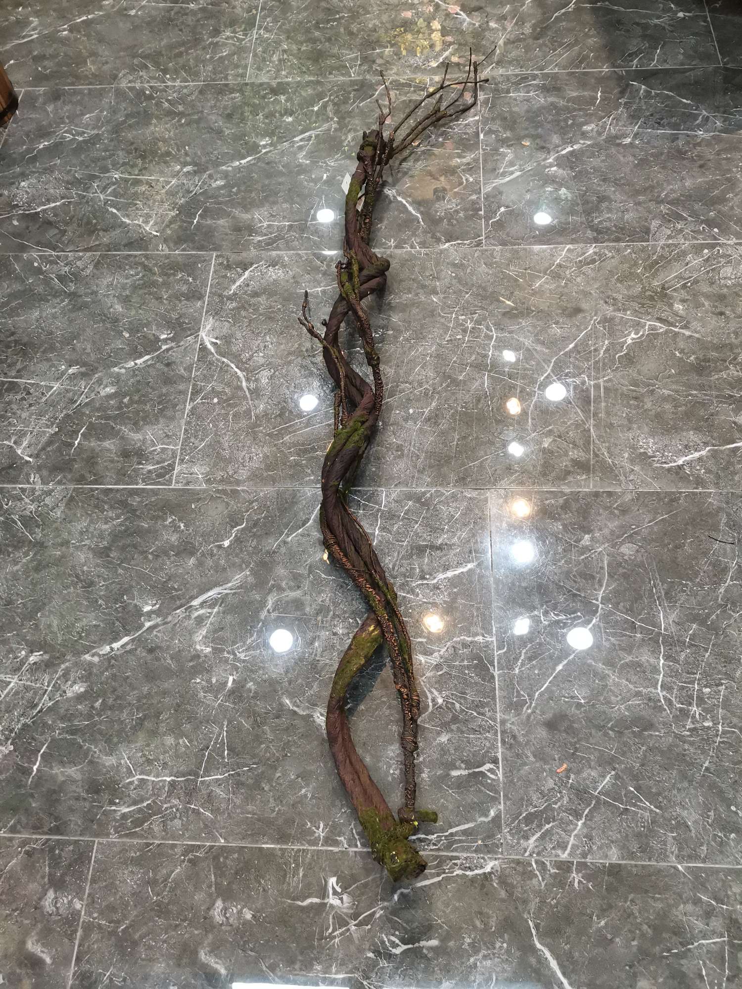 310过江龙