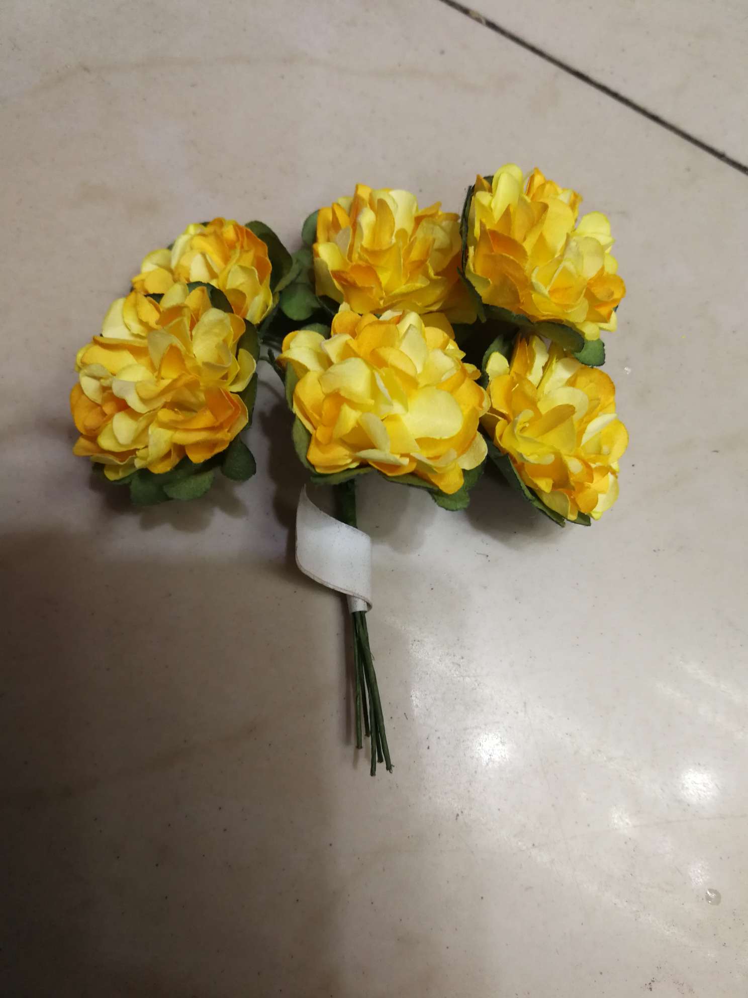 أقحوان الورق