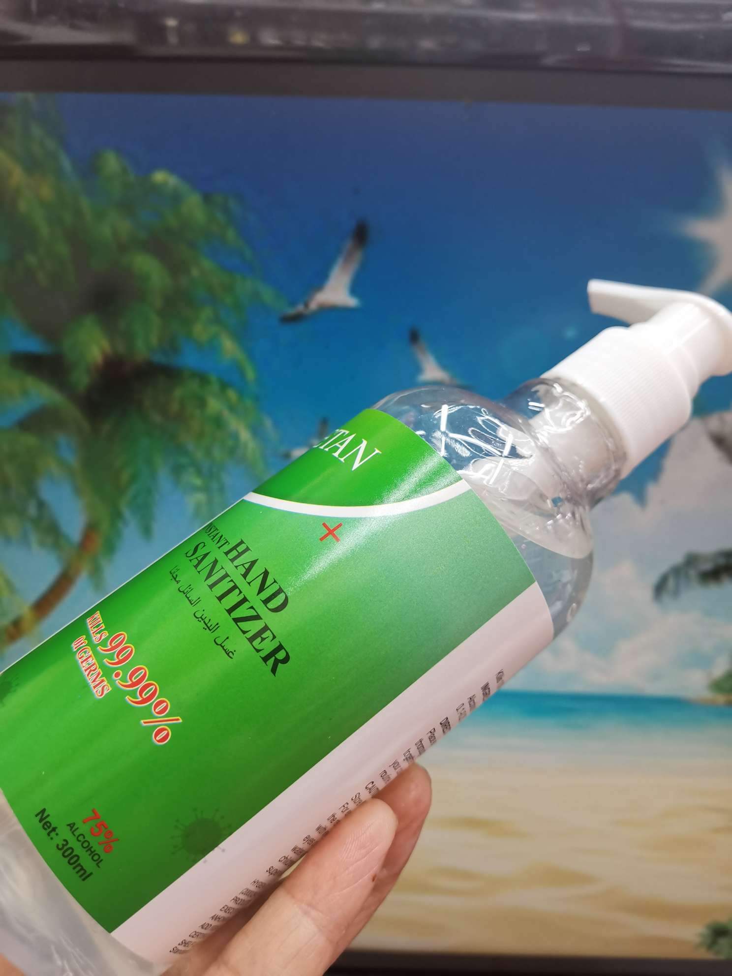 300g wholesale price hand sanitizer for export directly from the manufacturer Specification image