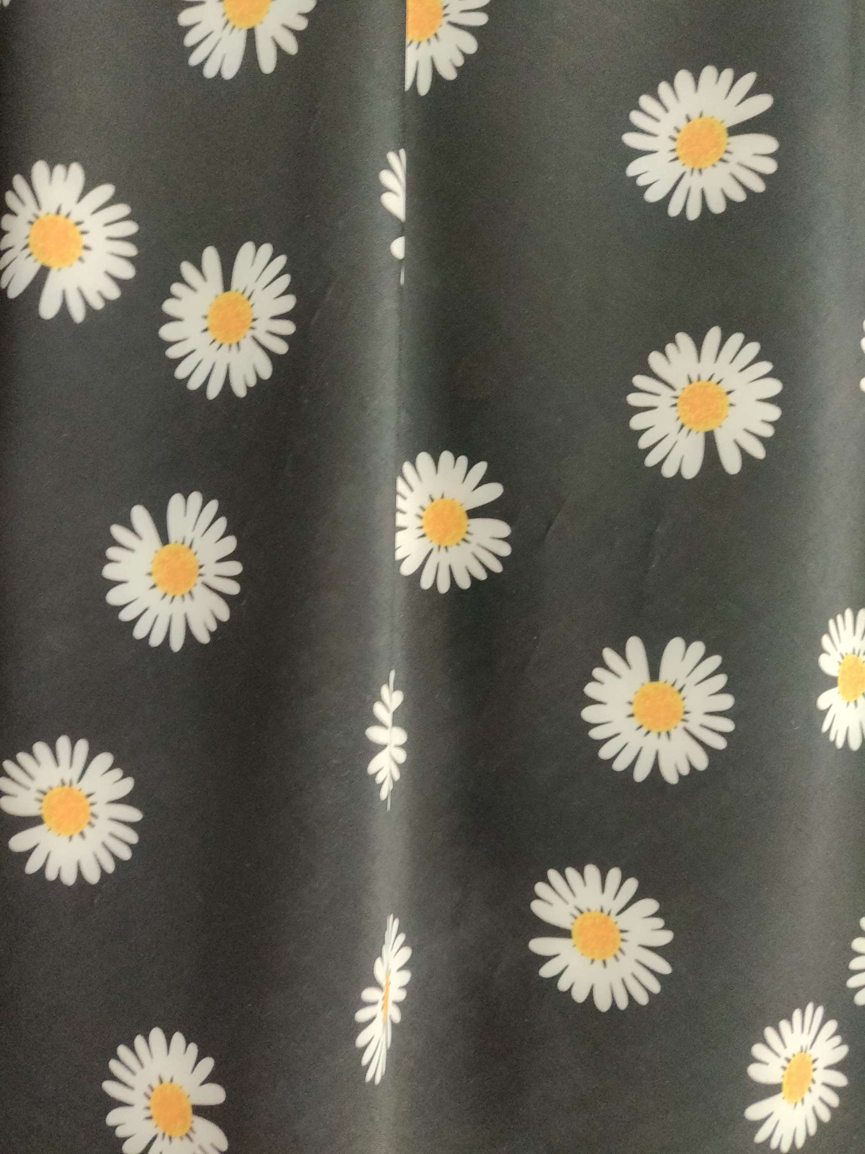 Little Daisy thumbnail
