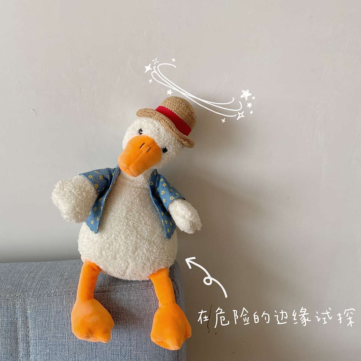 网红鸭🦆草帽鸭细节图