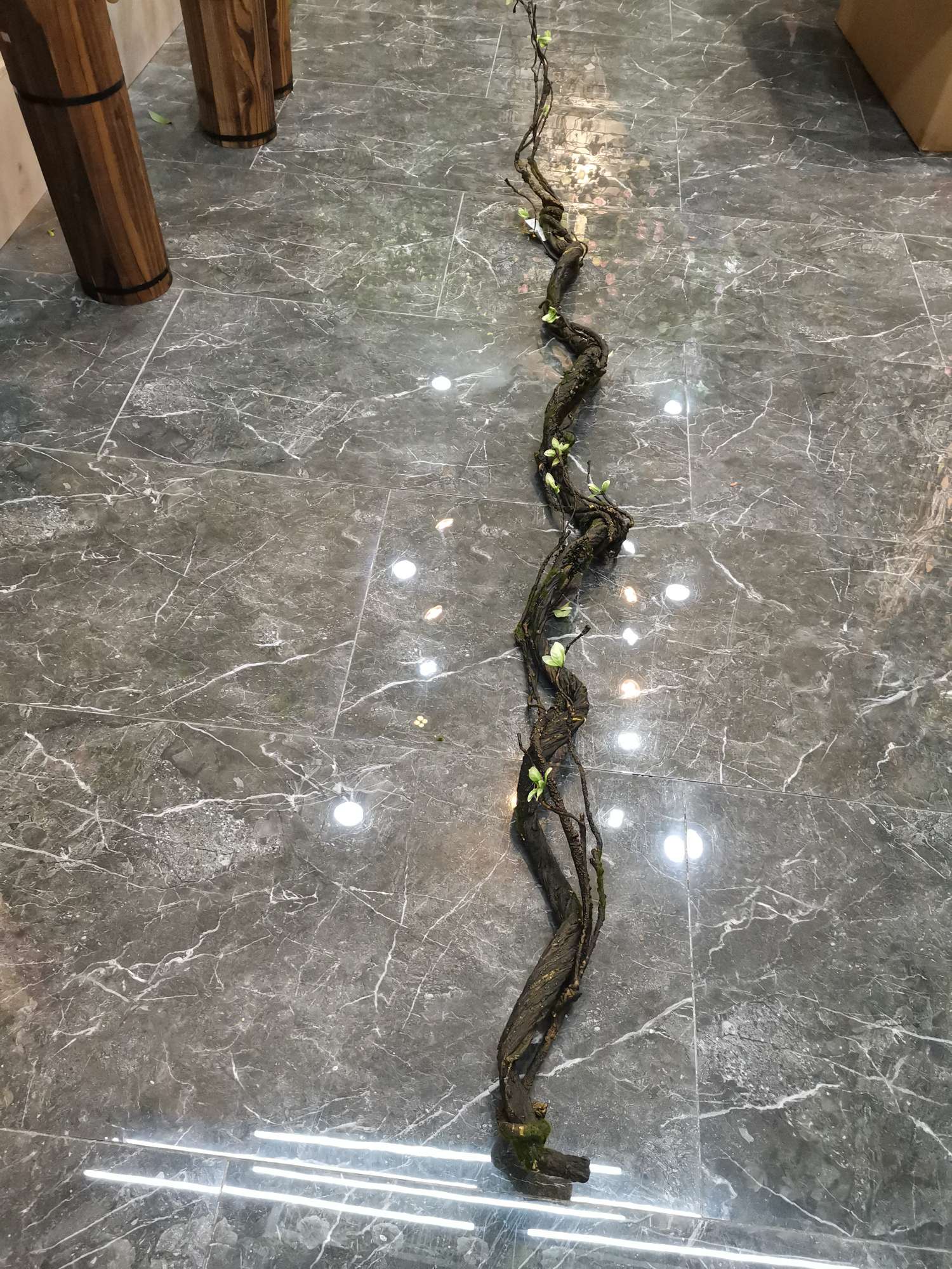 301过江龙
