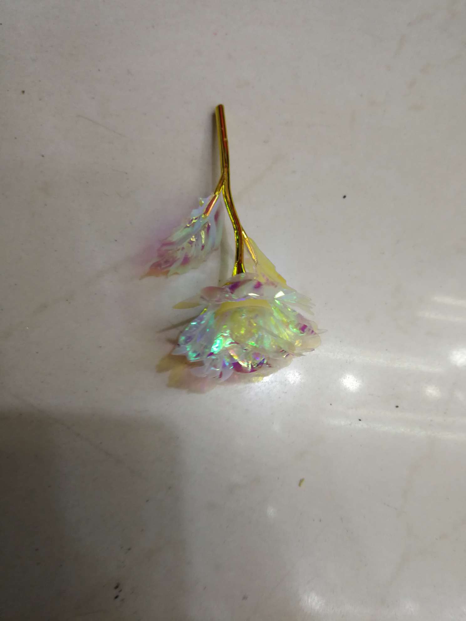 أزهار بيضاء