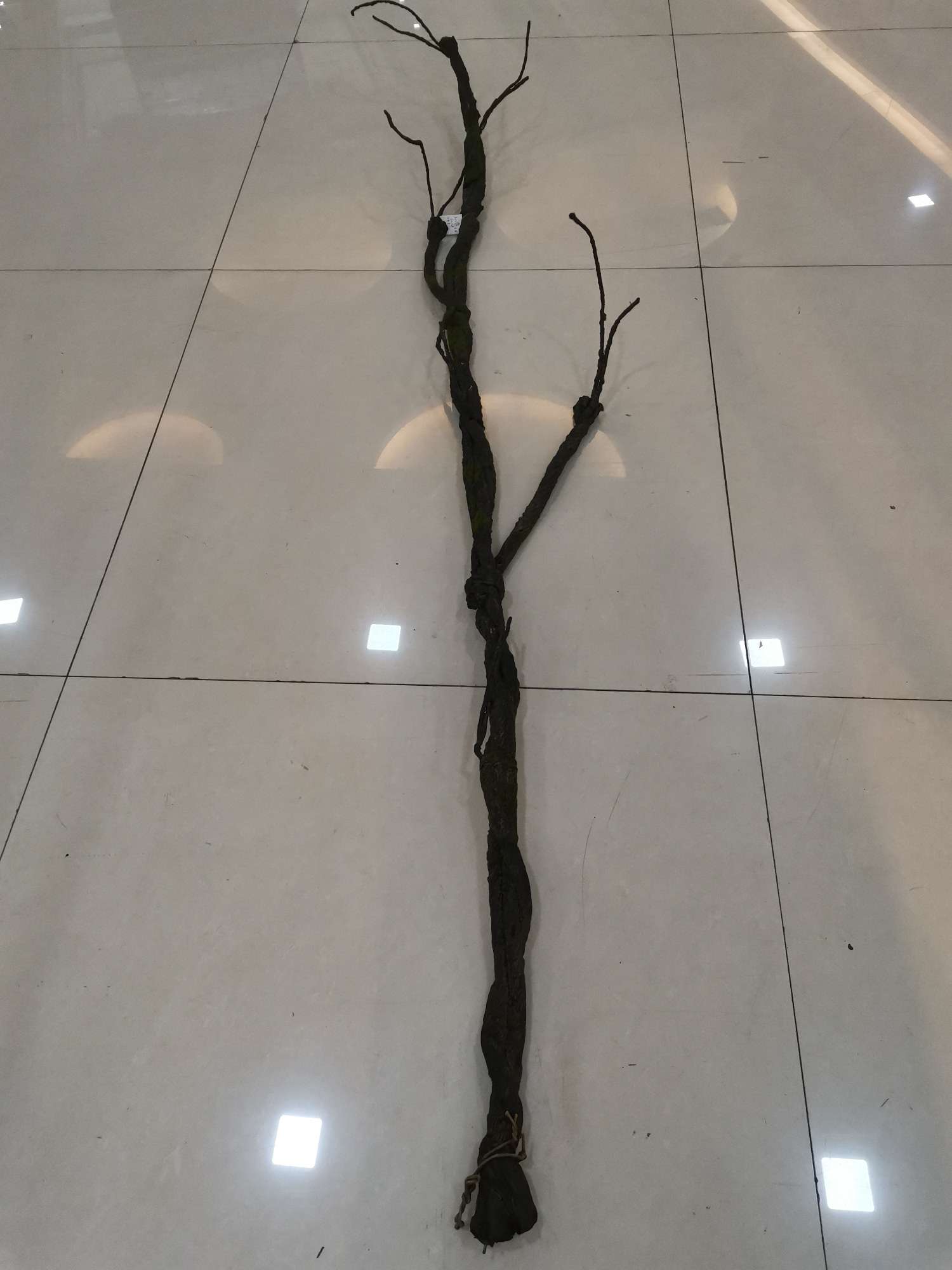 305过江龙产品图
