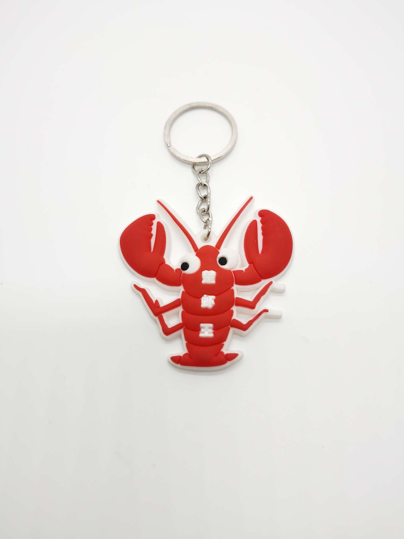 Pvc Software Pendant