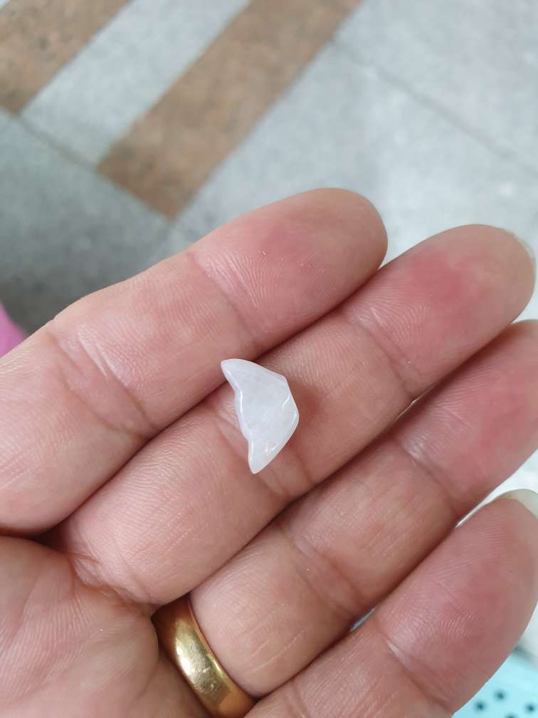 Jade wing thumbnail