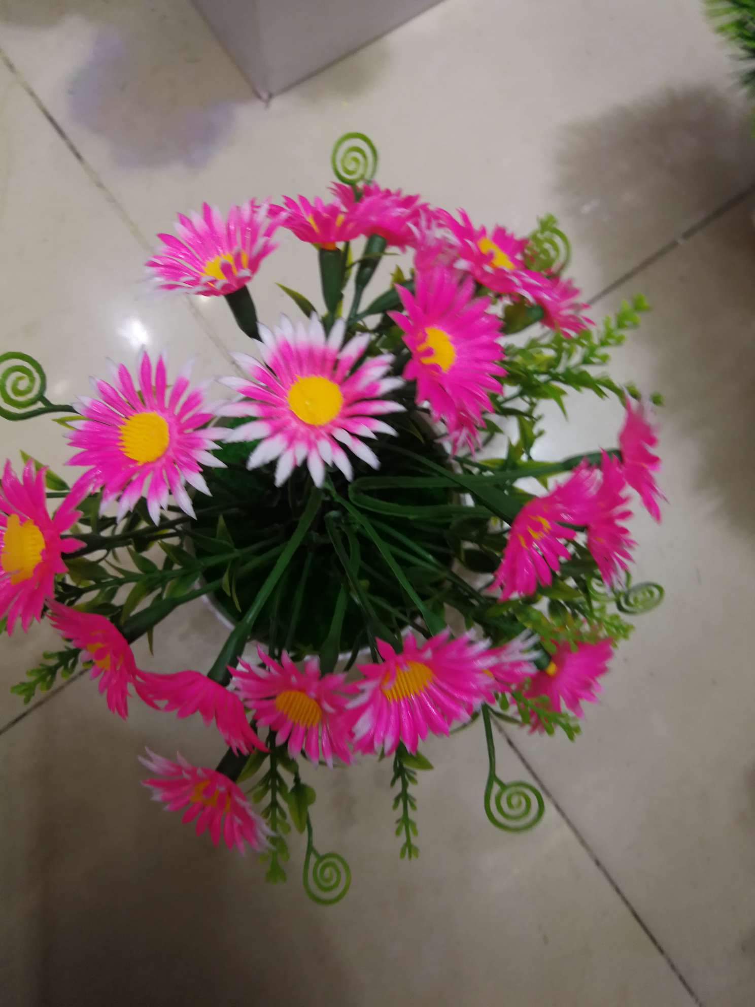 Flores de bonsai