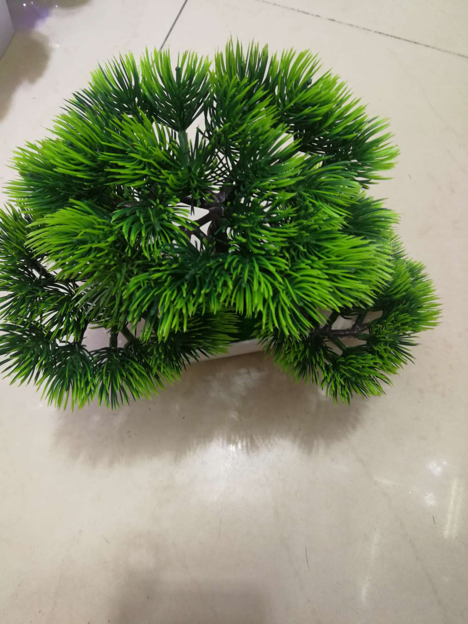 Pine needle bonsai thumbnail
