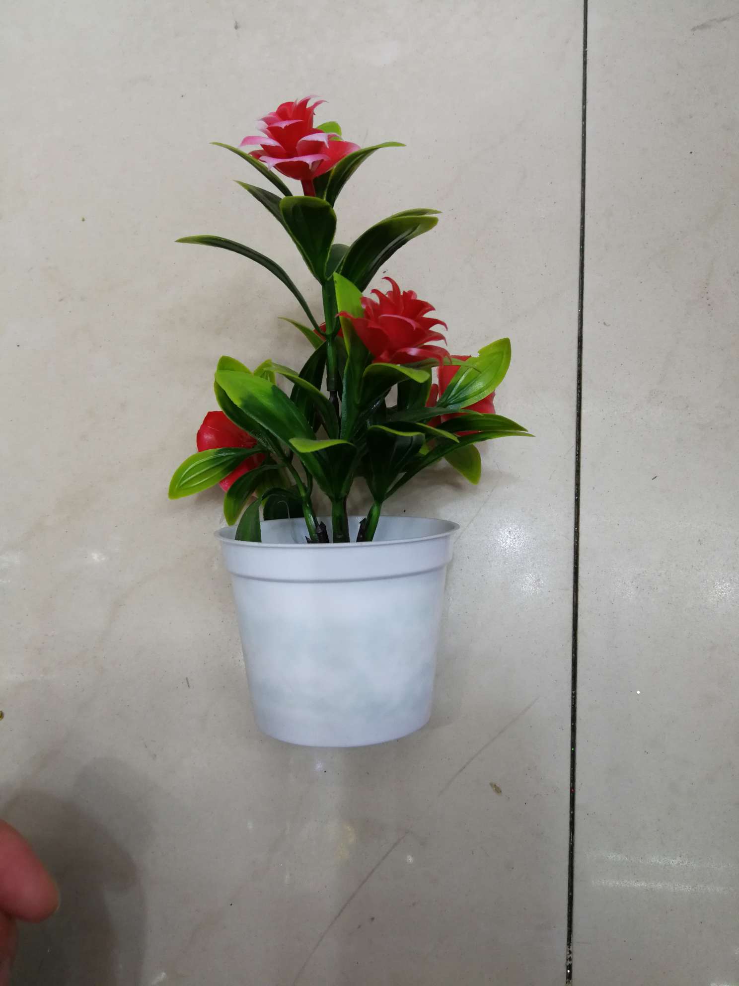 Bonsai rojo