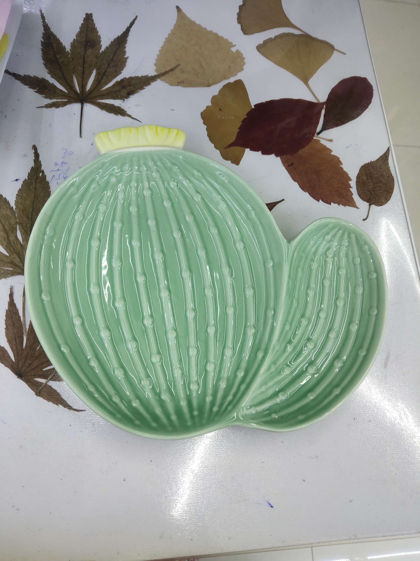 仙人掌盘子产品图