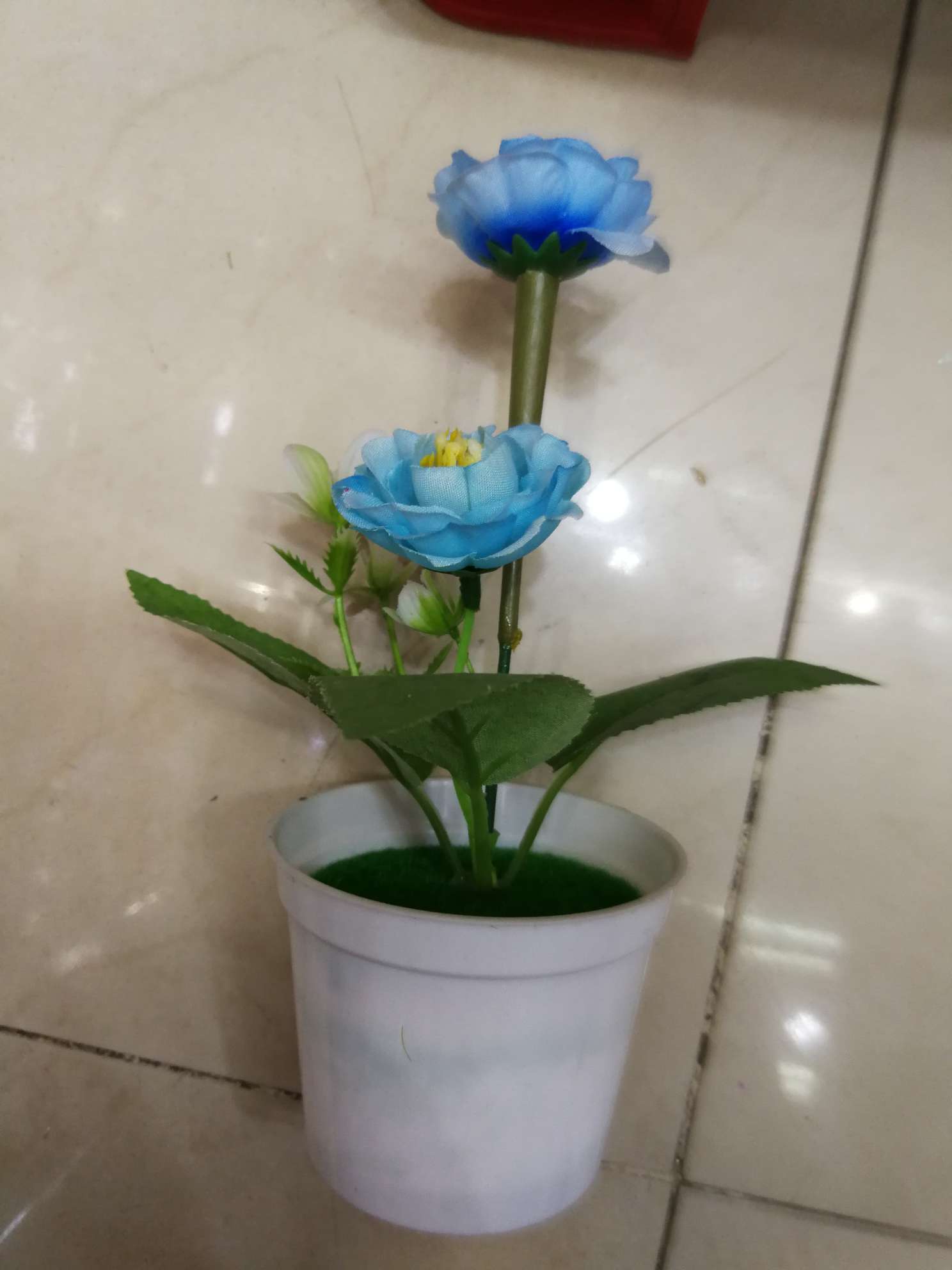 Bonsai de orquídeas
