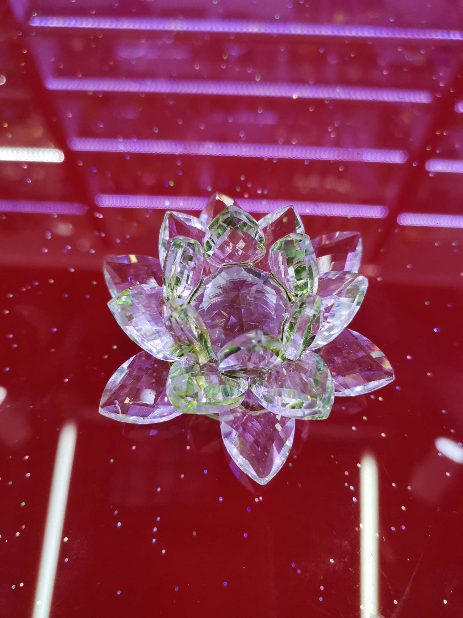 20#莲花