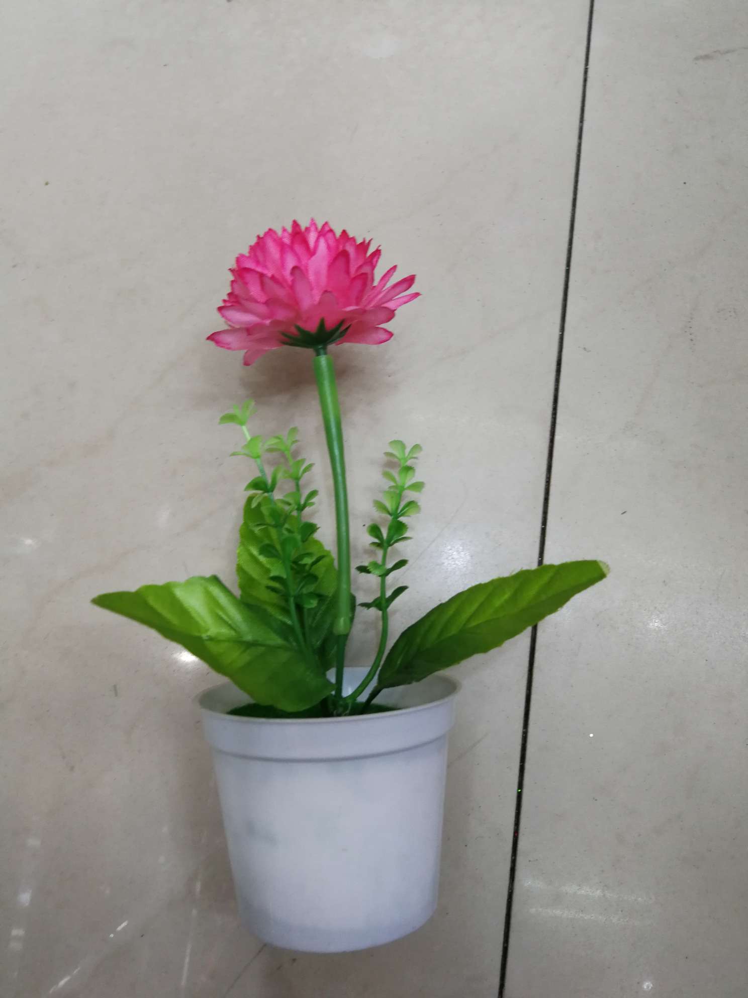 Bonsai rosa