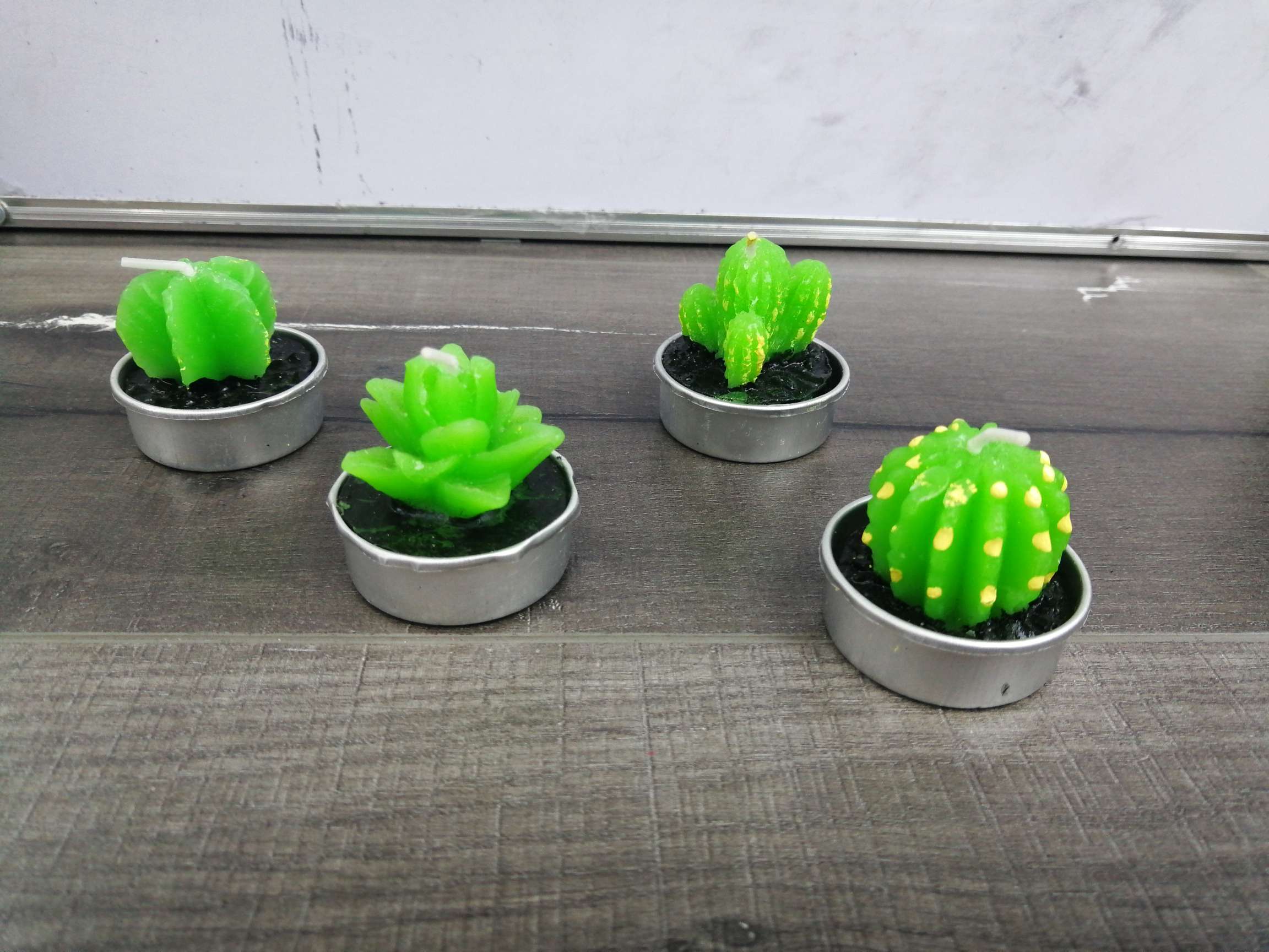 Natural plant Children's birthday candle Creative succulent plant candle