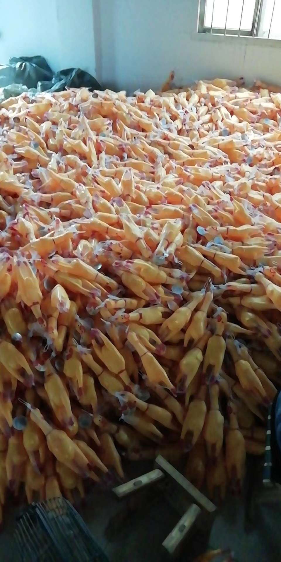 中号鸡白底实物图