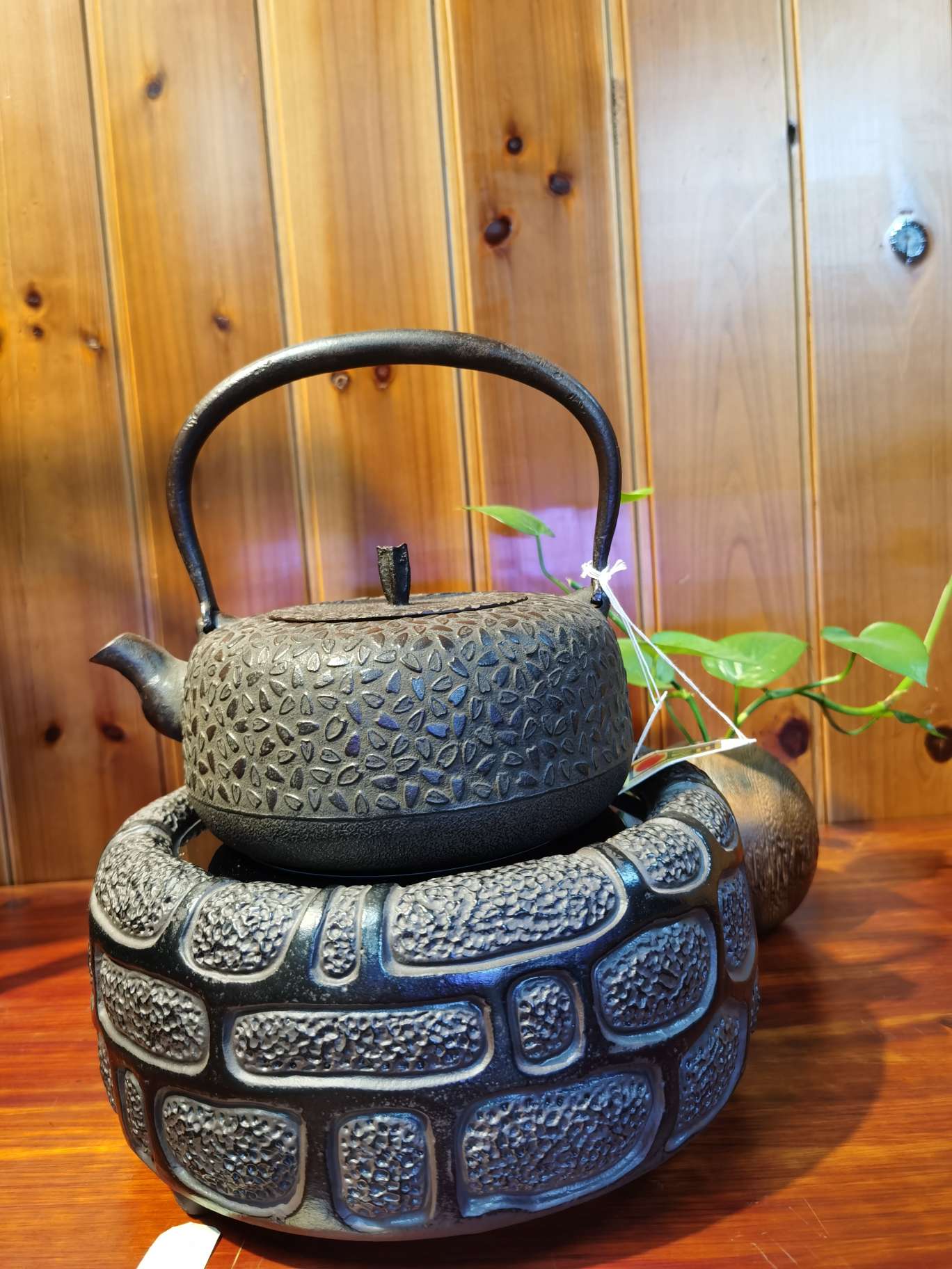 日本铁壶平丸樱