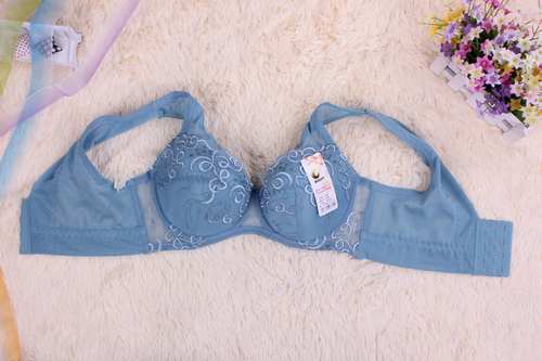 The New Fashion Can Still Hair European Fashion Underwear Large Cup Vest Type Bra Women Bra Manufacturers Wholesale details Picture