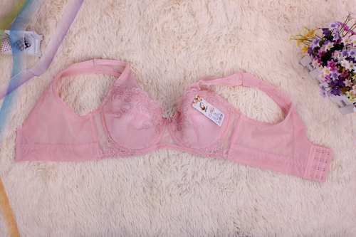 The New Fashion Can Still Hair European Fashion Underwear Large Cup Vest Type Bra Women Bra Manufacturers Wholesale Item Picture