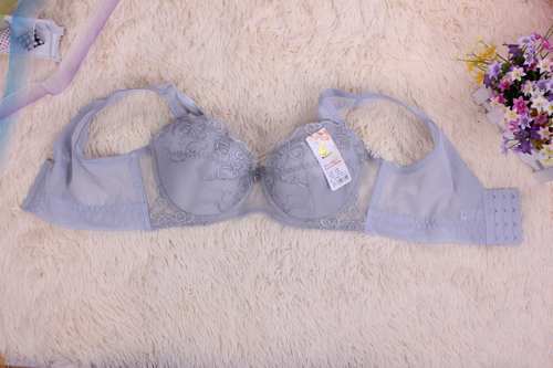 The New Fashion Can Still Hair European Fashion Underwear Large Cup Vest Type Bra Women Bra Manufacturers Wholesale Specification drawing