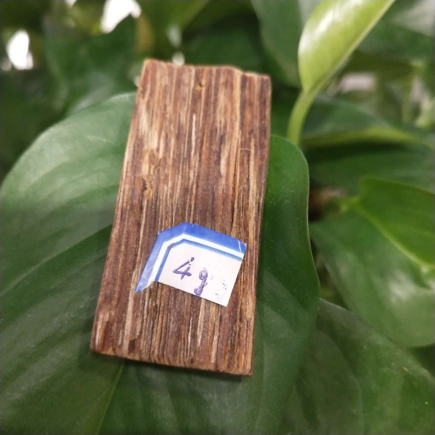 Agarwood Relief Pendant 1 Specification drawing