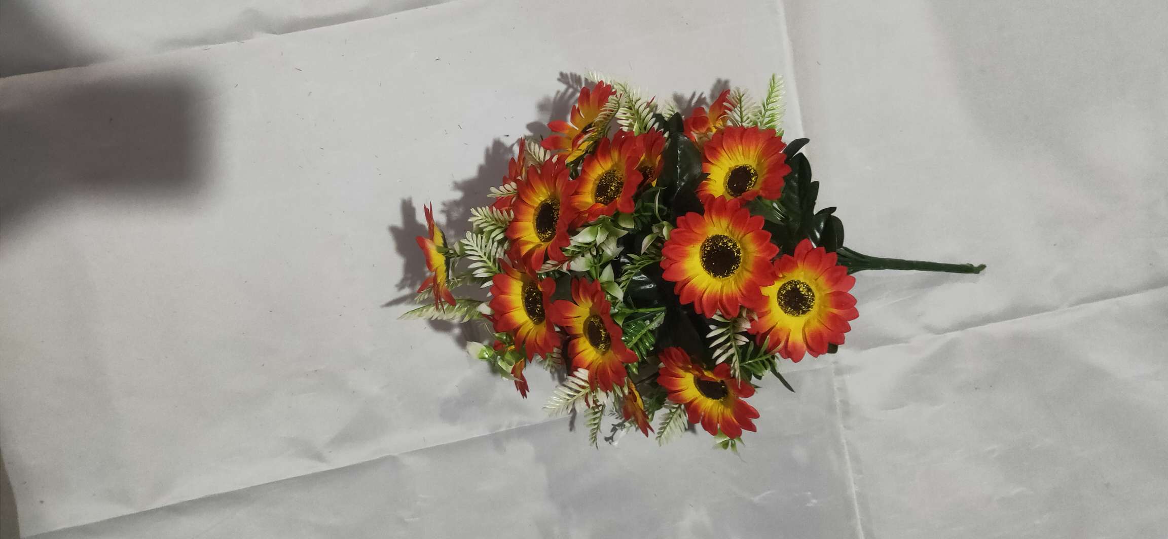 Twenty-four double sunflowers thumbnail
