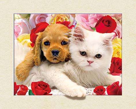 三维装饰字画，5D猫狗一家