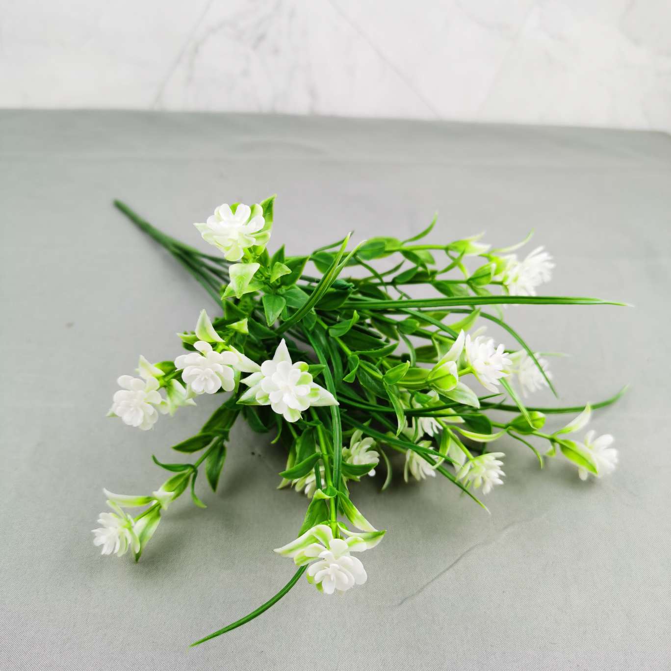 7头18目3叶草茉花
