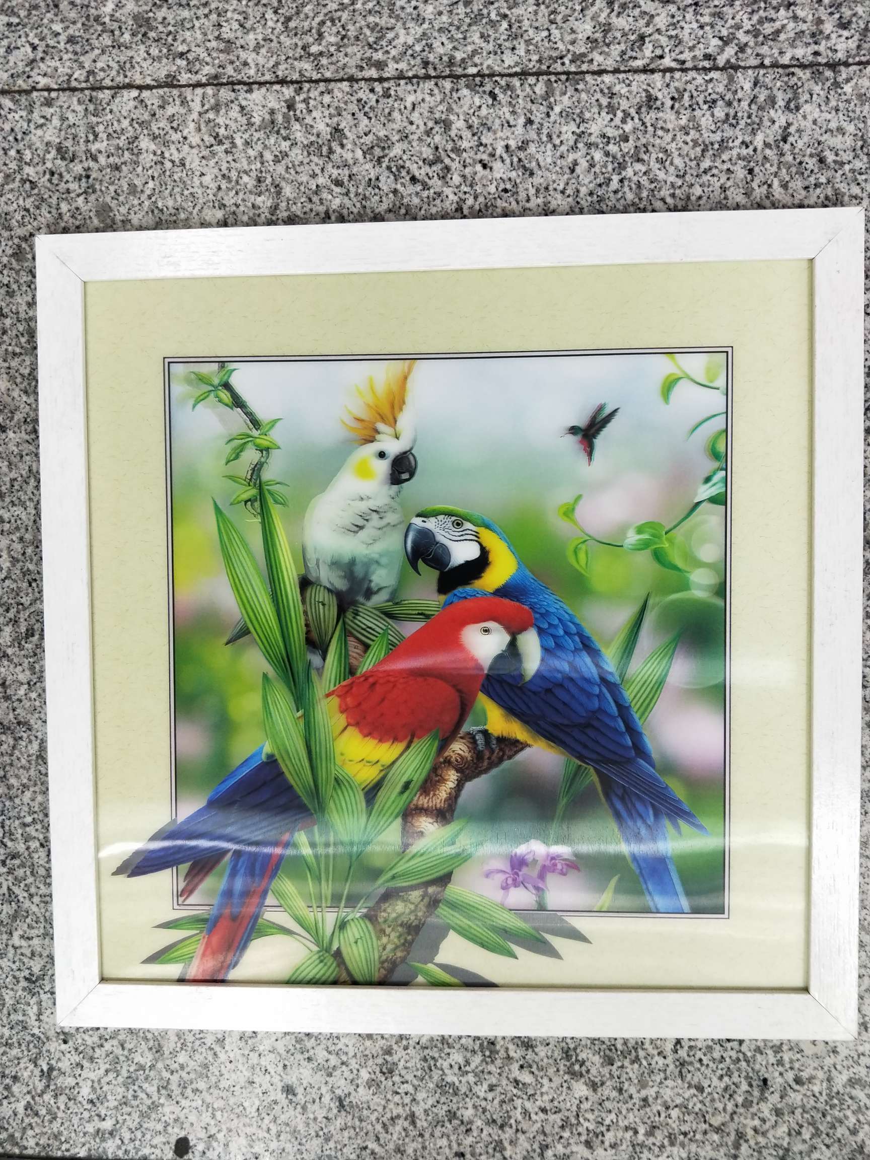 4040 photo frame