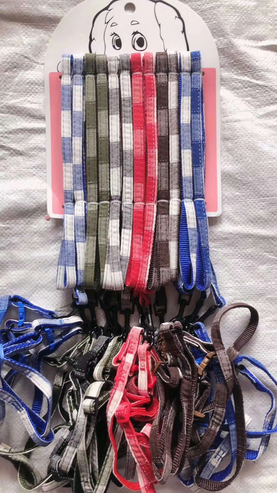 狗狗牵引实物图