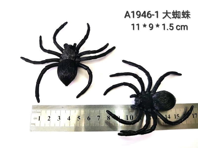Big spider