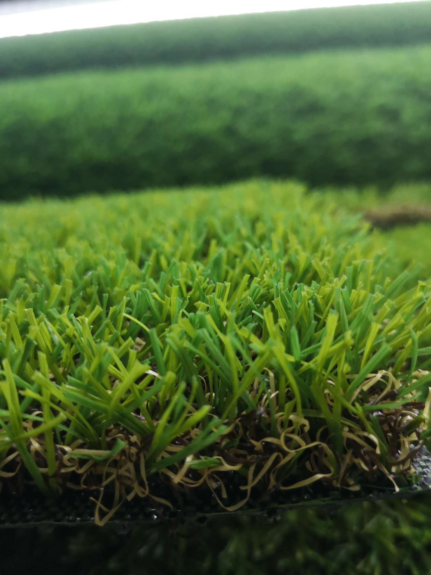 室内草坪 庭院草坪 屋顶