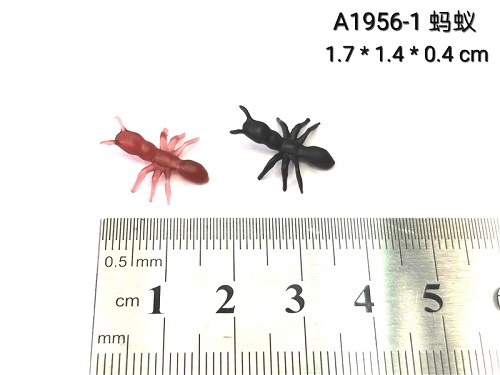 Ant details Picture
