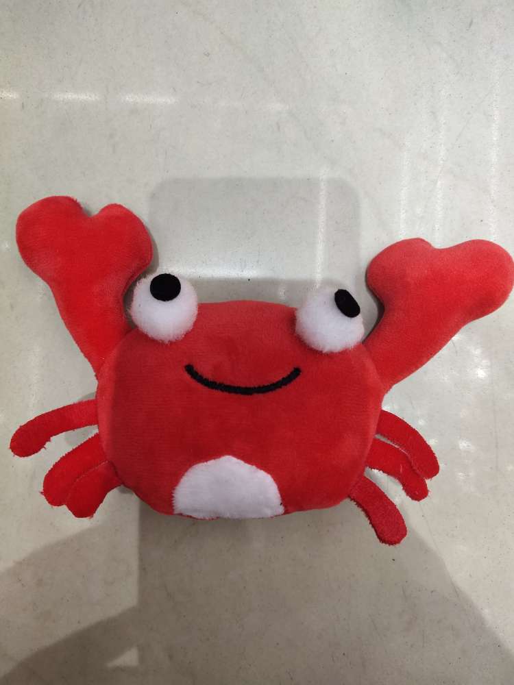 The crab is hanged thumbnail