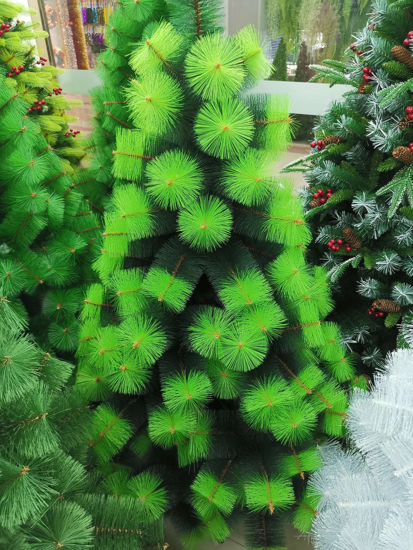 Two-Tone Pine Needle 2.1 M