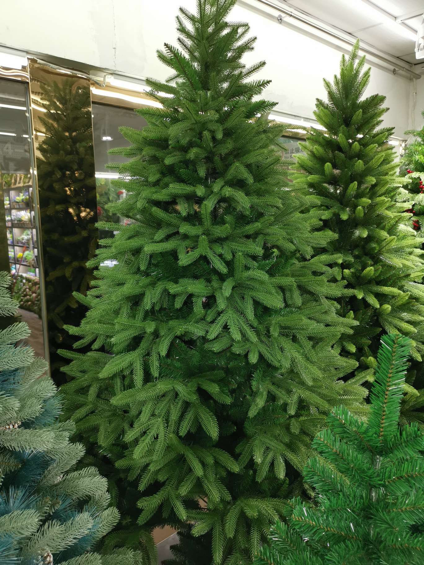 Xs1803 Hybrid tree 2.1 m thumbnail