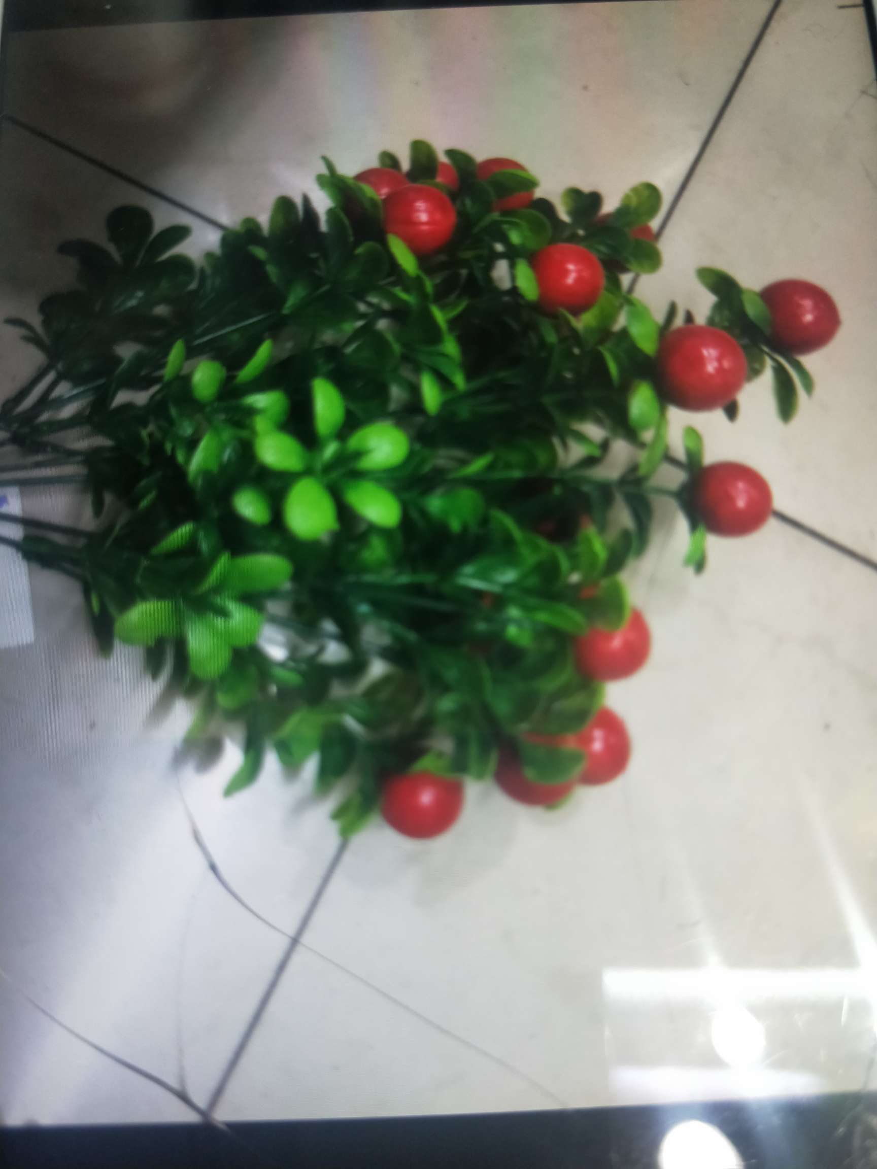 The cherry thumbnail