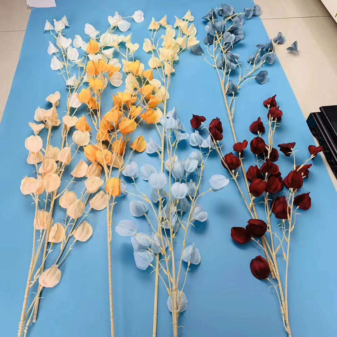灯笼花