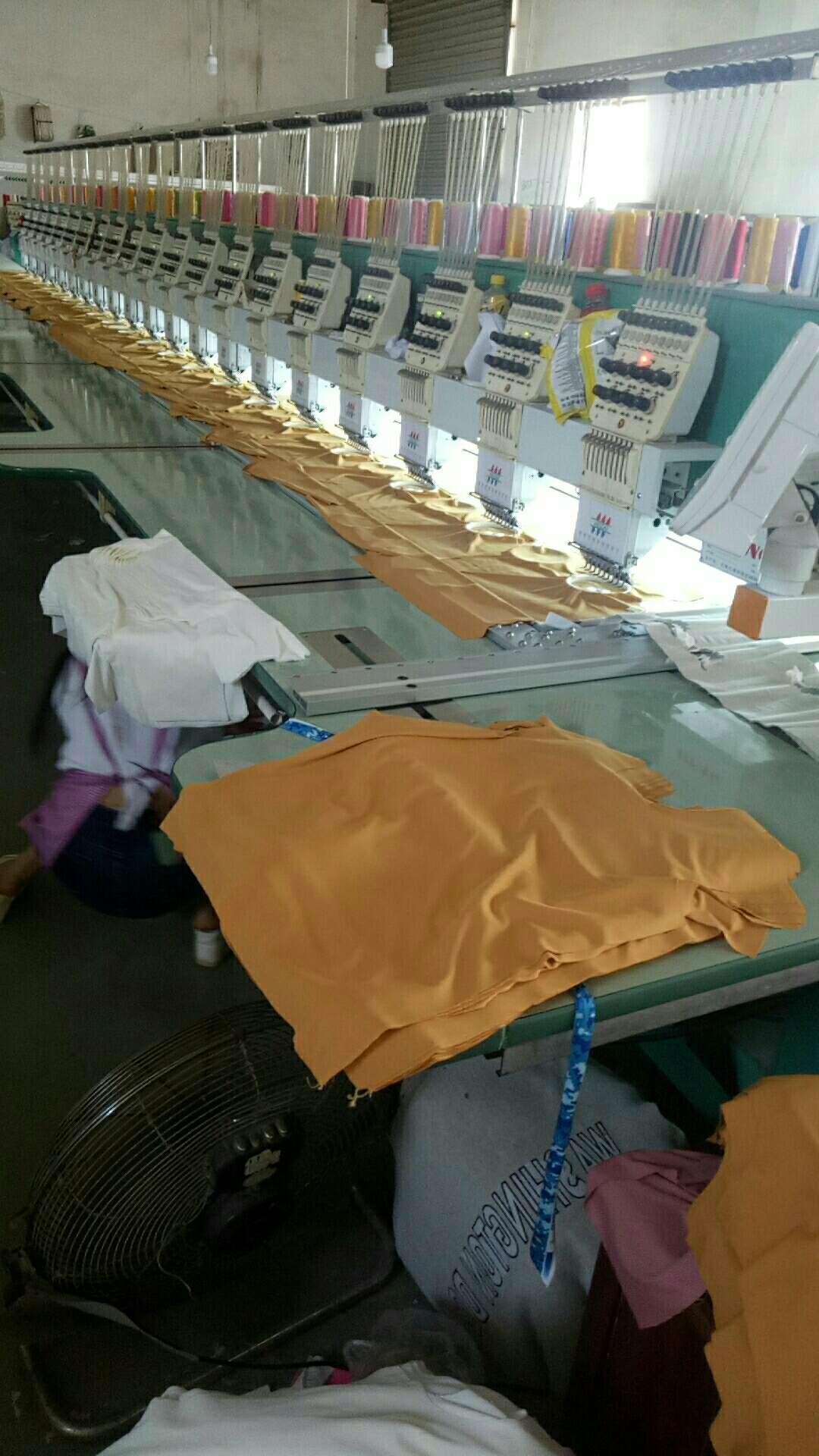 小雏菊短袖白底实物图