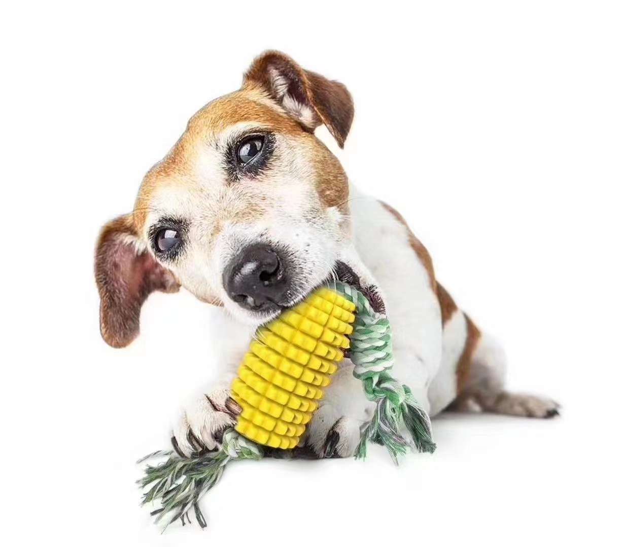 Spot sale!! Dog toothbrush/molar toy, brand new tooth cleaning design, multiple utility model patent protection + appearance patent protection, can be equipped with molar rope, more toothpaste/food attractant channel full figure