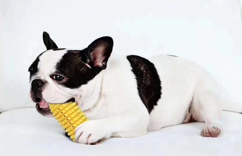 Spot sale!! Dog toothbrush/molar toy, brand new tooth cleaning design, multiple utility model patent protection + appearance patent protection, can be equipped with molar rope, more toothpaste/food attractant channel details Picture
