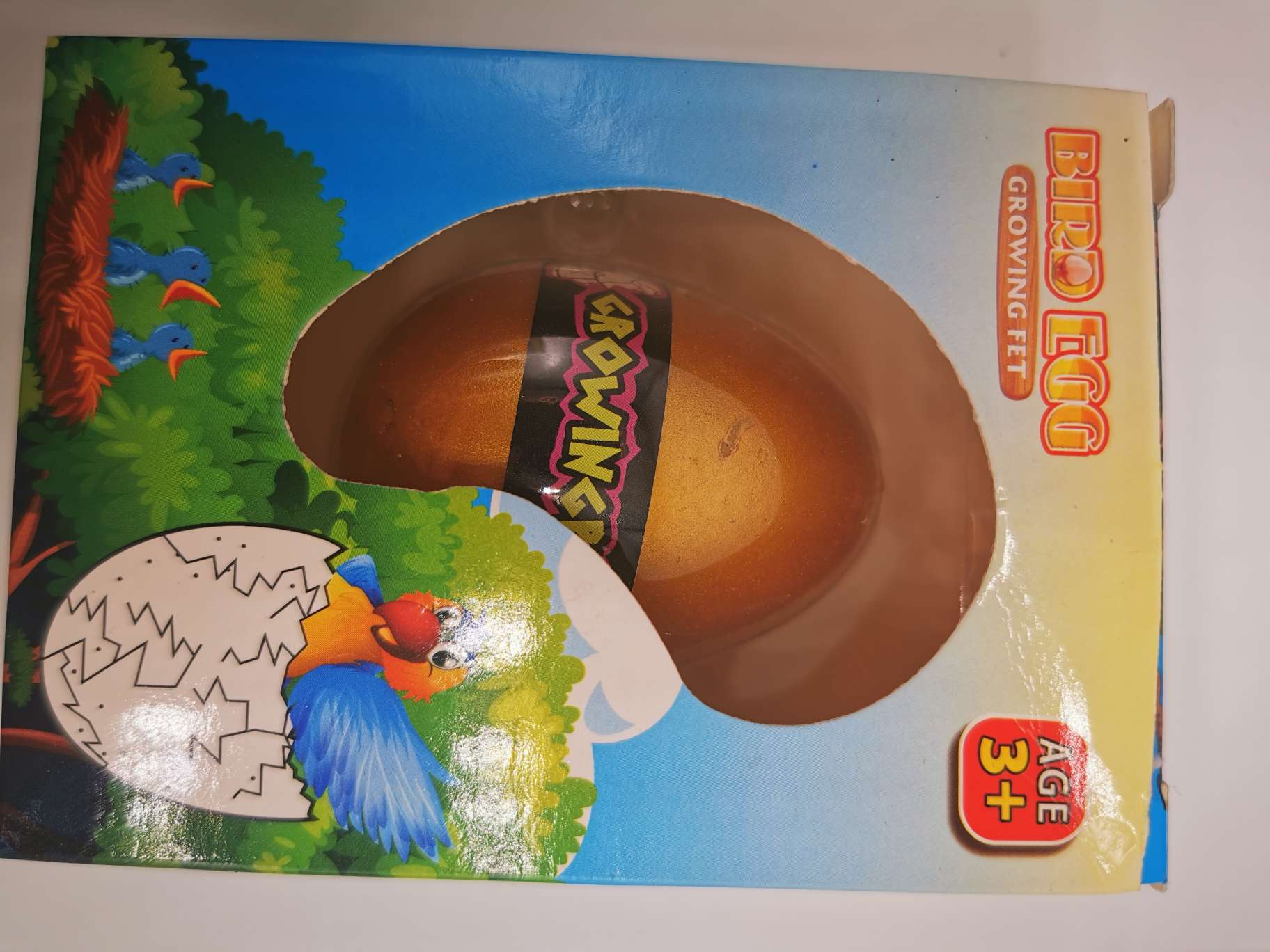 厂家直销，泡水膨胀益智玩具孵化恐龙蛋（盒装小鸟蛋）详情图3