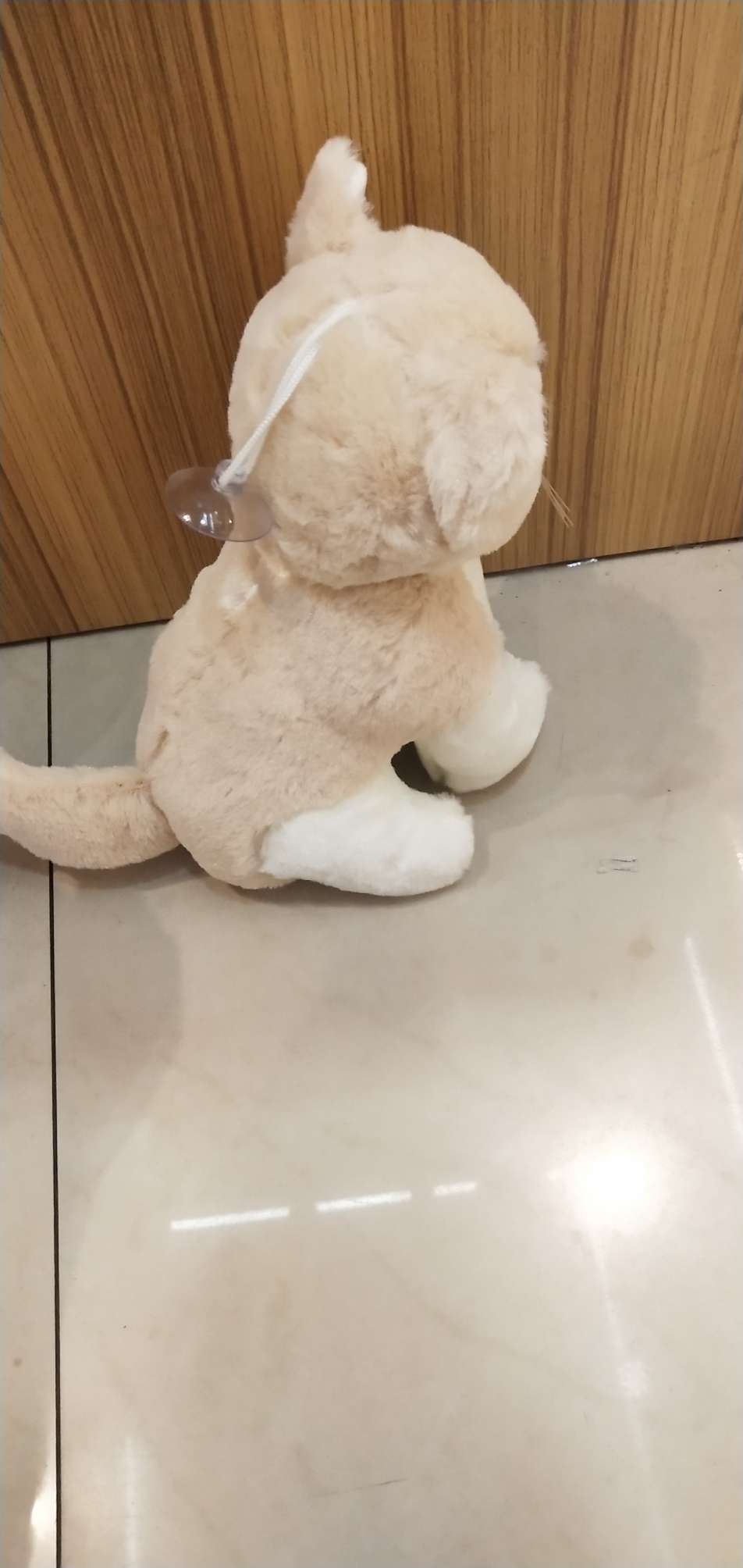 Wholesale of plush cat toys and claw machine figurines Application Scenario