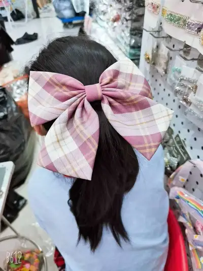 Bow Hair Clip Mesh Red Check