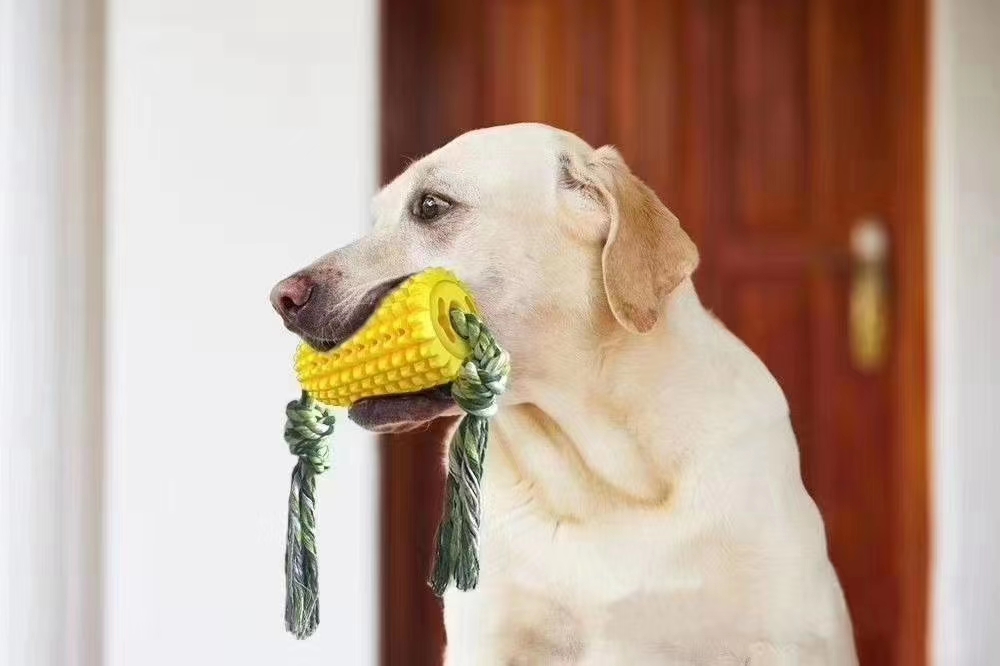 Spot sale!! Dog toothbrush/molar toy, brand new tooth cleaning design, multiple utility model patent protection + appearance patent protection, can be equipped with molar rope, more toothpaste/food attractant channel undefined