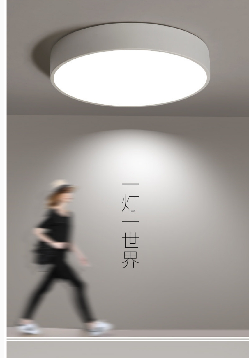 Ironwork acrylic simple ceiling lamp for bedroom, study and balcony 019 details Picture