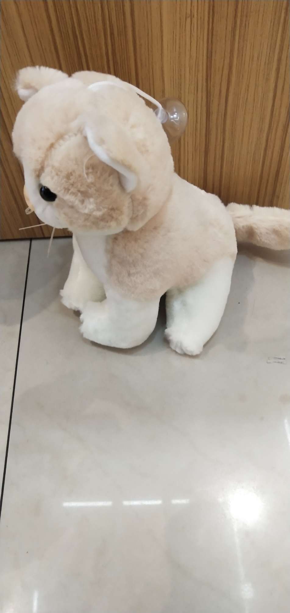 Wholesale of plush cat toys and claw machine figurines Specification image