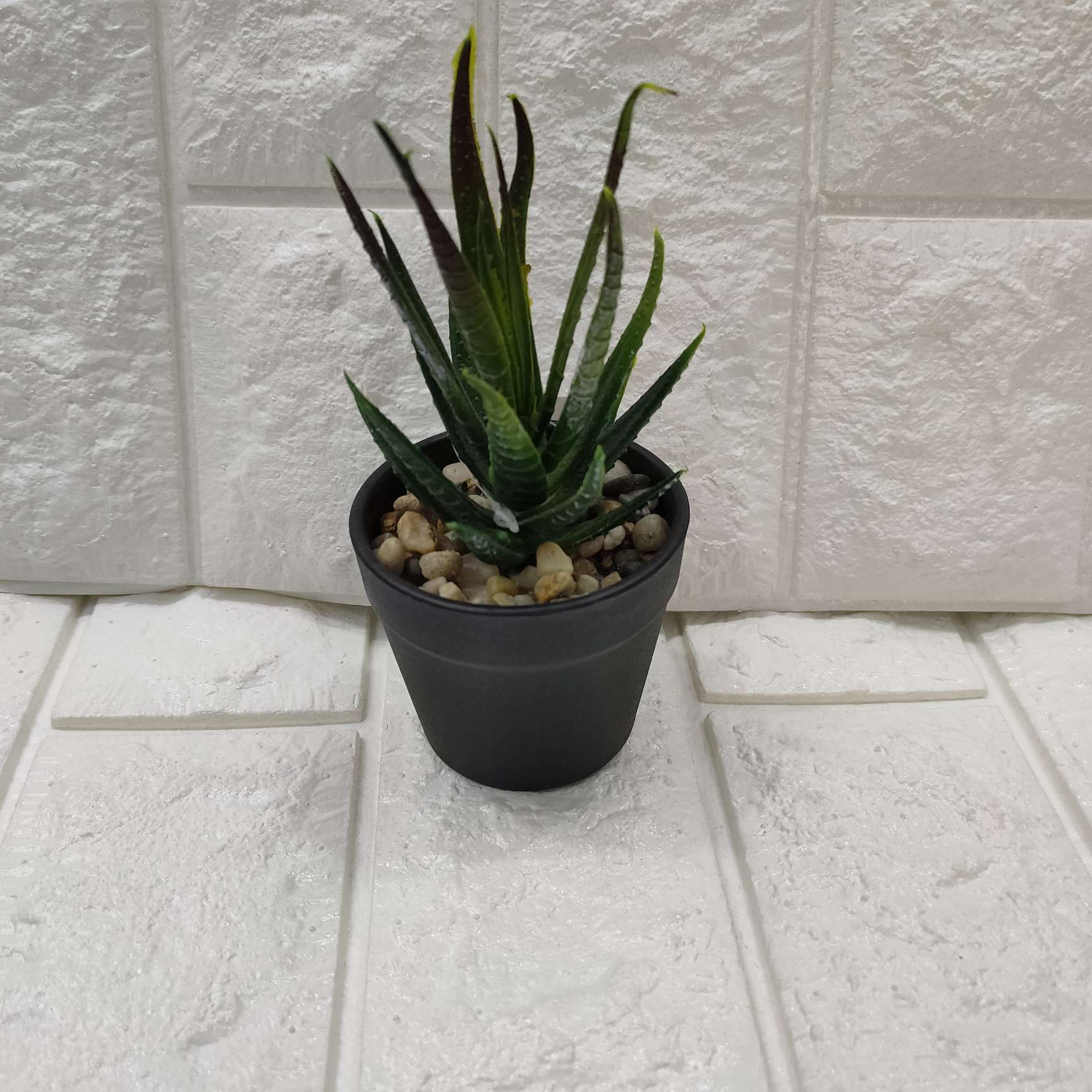 Small fleshy thumbnail