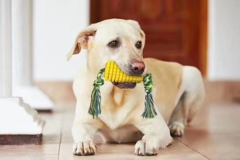 Spot sale!! Dog toothbrush/molar toy, brand new tooth cleaning design, multiple utility model patent protection + appearance patent protection, can be equipped with molar rope, more toothpaste/food attractant channel undefined