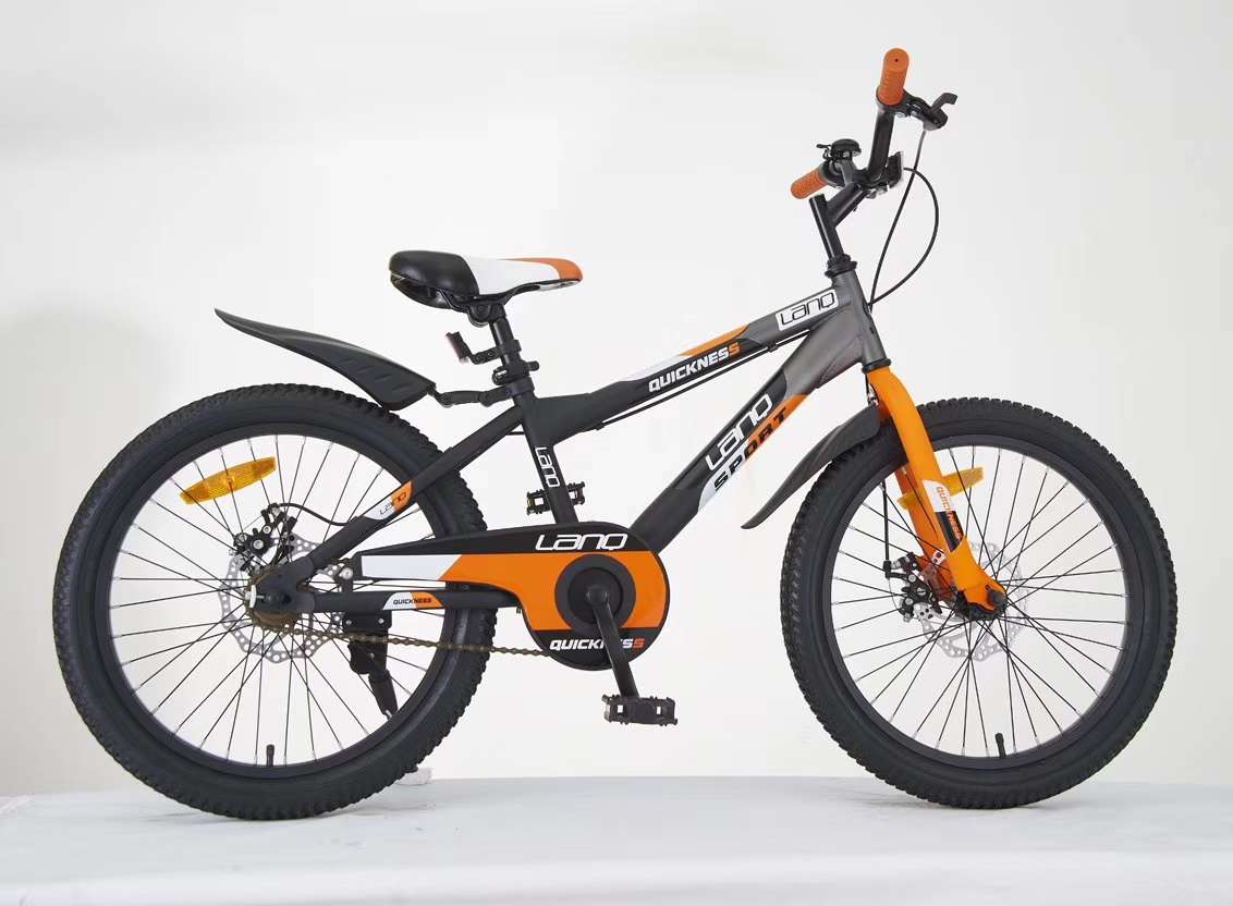 Bike Va207