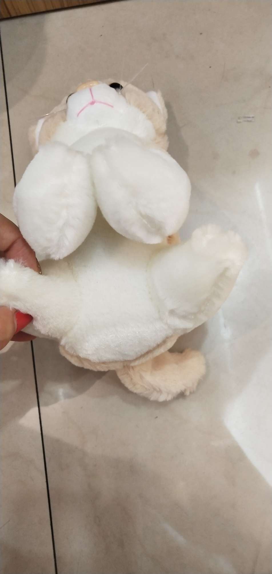 Wholesale of plush cat toys and claw machine figurines details Picture